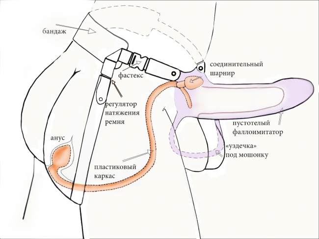 Фаллоимитатор поясной каркасный ( пустотелый ) с бандажом